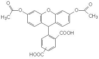 FAM|5(6)-羧基熒光素二乙酸酯