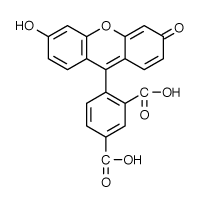 FAM|5 - 羧基熒光素